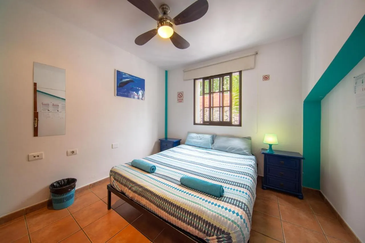 La Tortuga Hostel Costa Adeje  0*, Costa Adeje (Tenerife) España