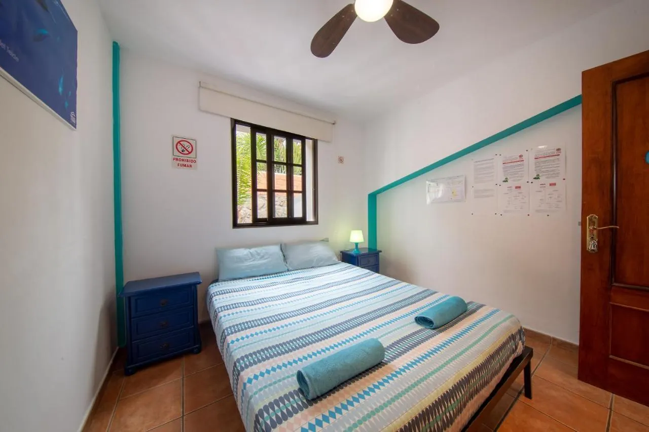 La Tortuga Hostel Costa Adeje  0*, Costa Adeje (Tenerife)