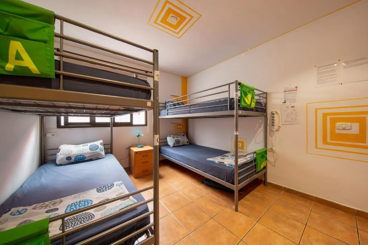 La Tortuga Hostel アデヘ