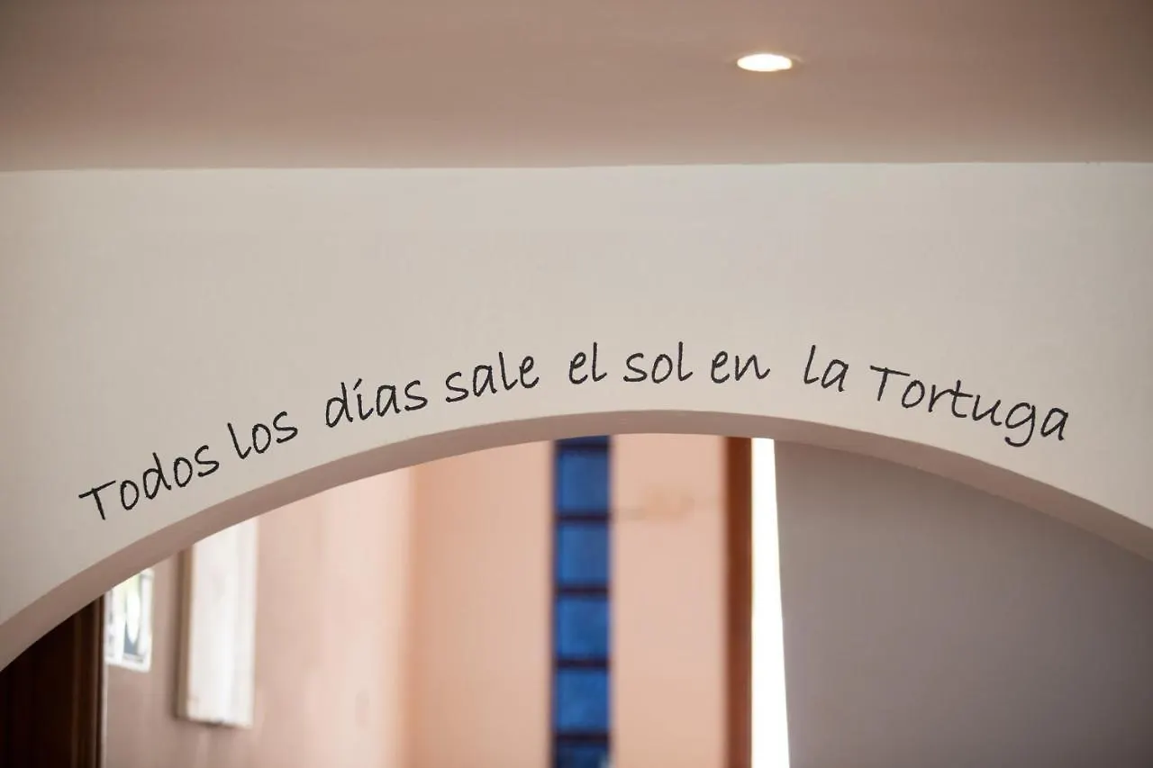 La Tortuga Hostel Costa Adeje  Espagne