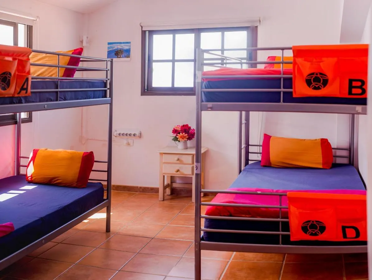 La Tortuga Hostel アデヘ