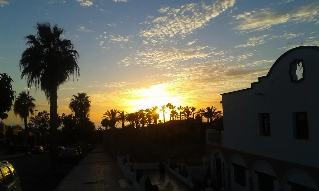 La Tortuga Hostel Costa Adeje  Espagne