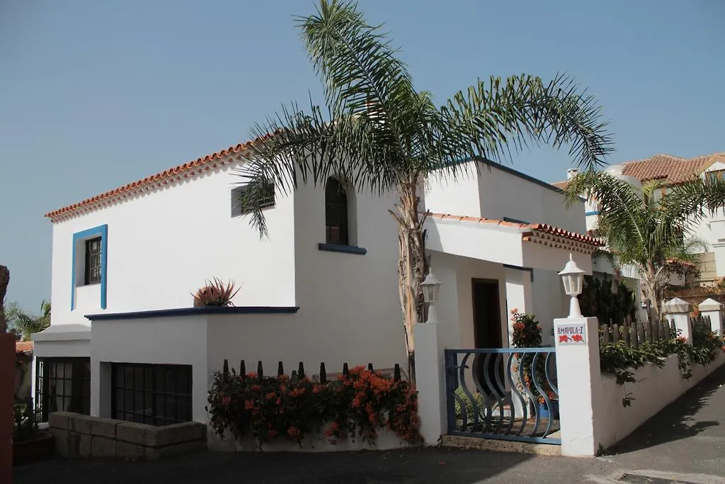 La Tortuga Hostel Costa Adeje  0*, Costa Adeje (Tenerife) Espagne